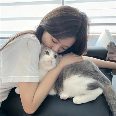 天堂的运输